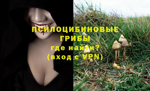 PSILOCYBIN Рославль
