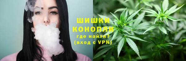 мдпв Корсаков