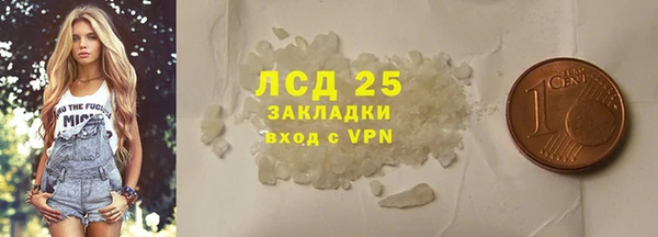 прущие грибы Краснослободск
