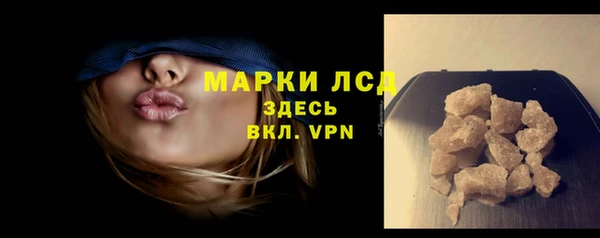 прущие грибы Краснослободск