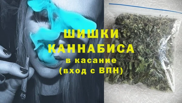 PSILOCYBIN Рославль