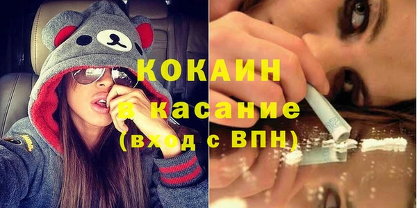 прущие грибы Краснослободск
