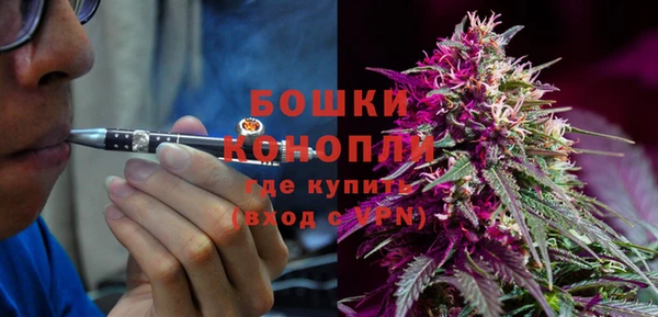 apvp Костерёво