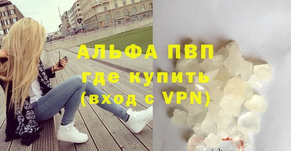 прущие грибы Краснослободск