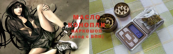 гидра Коряжма