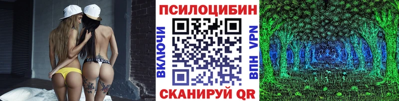 Псилоцибиновые грибы Psilocybe  Красный Сулин 